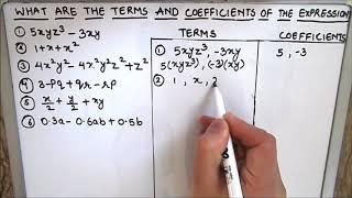 What are the Terms and Coefficients of Algebraic Expression / Terms and Coefficient of Expression