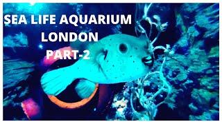 Sealife Aquarium Part 2 | Travel vlog to Sealife Aquarium London | A day in Sealife Aquarium Vlog