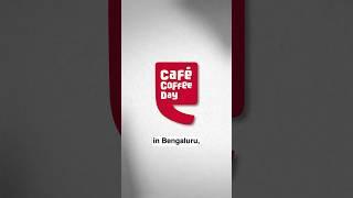 The SPECTACULAR Rise And Fall Of CCD
