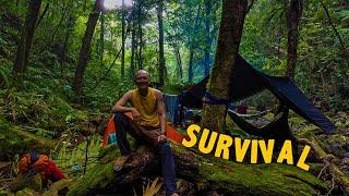 Overnight Camping in the Forest with a lot of Poisonous Animals | lifeprinttv