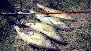 THE RIGHT Jig Step from the SUDACHATNIK. WALLEYE fishing from the Shore