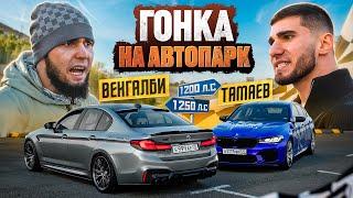 ГОНКА ВЕНГАЛБИ Vs ТАМАЕВ Кто заберет АВТОПАРК