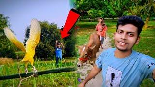 আমি ম্যাংগো কে যেভাবে পোষ মানিয়েছি  | Sahin Showkat