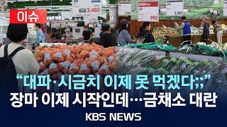 [이슈] "장바구니에 열무 넣었다 깜짝...대파·시금치 가격은 또 왜 이래?"...이상기온·장마에 밥상 물가 '직격탄'/2025년 6월 24일(화)/KBS
