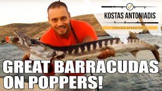 GREAT BARRACUDAS!  live strikes top waters! Fishing in Greece!