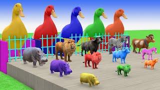 Long Slide Game With Elephant Gorilla Buffalo Hippopotamus Tiger - 3d Animal Game - Funny 3d Animals