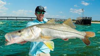 We’re Keeping This Fish Forever (Catch Clean & Cook Snook)