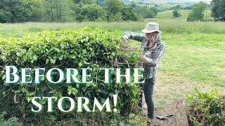 Before the Storm - The Rains Finally Come! Scottish Country House Life (Living in Scotland)