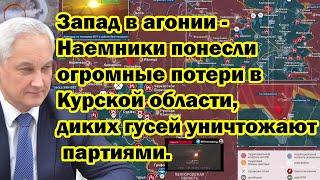 Запад в агонии - Наемники понесли огромные потери в Курской области, диких гусей уничтожают партиями