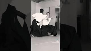 Aikido master amazing skills martial arts extreme stunts strongman strong hands hapkido training