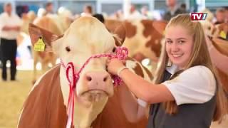 RIEDER MESSE - Internationale Landwirtschafts- und Herbstmesse - Messen.de