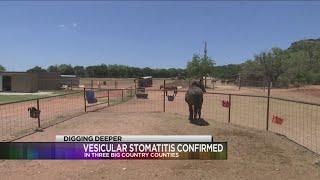 VSV in three Big Country counties