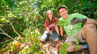 URSI: Restoration Ecology