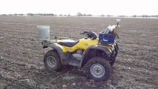 Red Clover underseeding in Winter Wheat