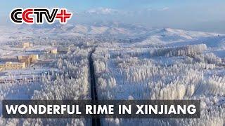 Soft Rime Comes into View in Multiple Places of Xinjiang