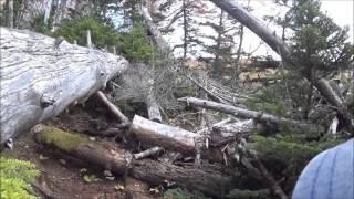 富士山　秋の富士山南麓　高鉢駐車場から村山古道・宝永山・御殿庭・自然遊歩道