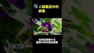 人類基因中的病毒？！| #未解之謎 扶搖