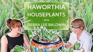 Haworthia Houseplants with Debra Lee Baldwin