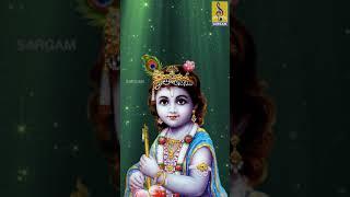 Sreemukunda | Evergreen Krishna Devotional | Madhu Balakrishnan | Vasudevam Bhaje