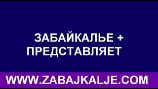 ЗБК + ТУРНИР ПО ВОЛЕЙБОЛУ ПАМЯТИ Н НЕШКОВА ПРОШЕЛ В БОРЗИНСКОМ РАЙОНЕ