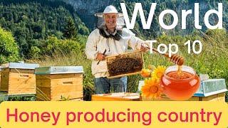 World Top 10 Honey Producing Country's | Honey Producing Country's