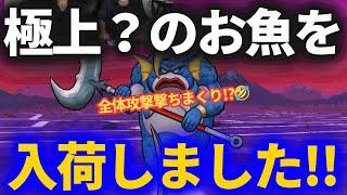 【ドラクエウォーク】２日連続で極ゲット！！極上？のお魚を仕入れました【なかまモンスター】