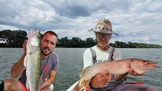 PECANJE SMUĐA I ŠTUKE NA ZGAŽENOG KEDERA #fishing #zander #pike