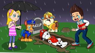 DEEP WOUND! on the departure of Marshall | PAW Patrol Funny Animation | Rainbow 3