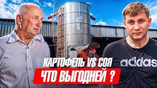 КартофельVS Соя. Что выгоднее . Подводим итоги.