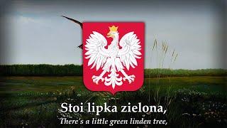 "Lipka" (A little linden) - Polish Folk Song