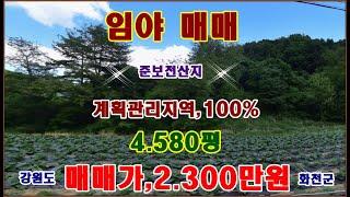 물번,636번) 임야,계획관리지역,4.580평 공시지가 이하2.300만원에 매매합니다 준보전산지100% 임업용산지이며  2차선 도로와본 임야 사이에 하천이 있습니다, 하천점용허가~