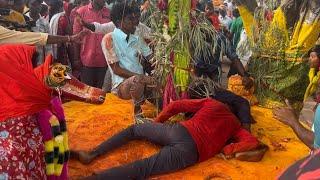 Telangana Culture - Shivasattula Sigalu || Mulugu Gattamma Thalli || Medaram Jathara 2024 #medaram