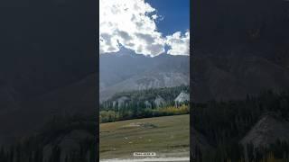 Autumn in Shigar Valley | #autumn #autumnleaves #autumnleaves #nature #naturelovers #gilgitbaltistan