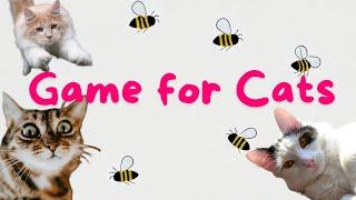 Game for cats #4 | 貓電視 | 數位逗貓棒 | 猫用動画 | 고양이가 좋아하는 영상 | #gameforcats #catgames #猫が喜ぶ映像