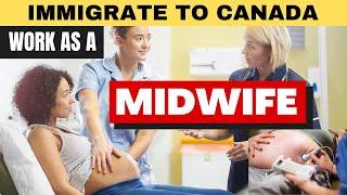 Immigrate to Canada and Work as a Midwife | A Step-by-Step Guide on the Process of Application