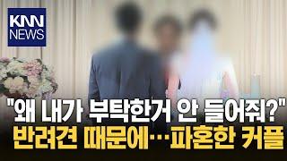 강아지 웨딩사진 거절당한 예비 신부, 결혼 취소 선언 / KNN