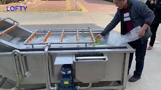 Lettuce Vegetable Washing Machine Commercial