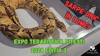 EXPO TERARISTICA PITESTI 2024 EDITIA A 2 A