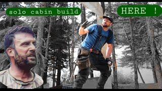 Cabin Building Alone.  Cathedral Vaulted Roof Begins (Ep 22)