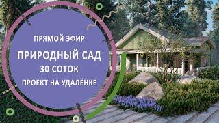 ПРИРОДНЫЙ САД 30 соток. Проект на удалёнке