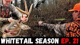 CRAZY ARCHERY DEER DRIVES! (Big Buck shot at 10 Yards!)