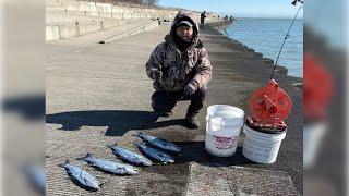  LIVE - Coho are here...already?! | Lake Michigan Fishing Report 03/08/25