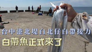 開始排隊了!!!#台中港北堤 白北仔接力換!#白帶魚 季來了! #fishing #釣り #어업  #pangingisda #釣魚 #天亞 #弓角 #水球