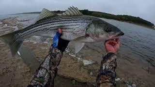 Texoma Fall topwater striper