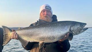 King Salmon Jigging with RMA Jigging Spoons / Livescope Jigging For King Salmon