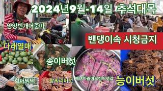 2024년9월14일 양양추석대목장날 송이버섯 능이버섯 싸리버섯 곰버섯 목이버섯.사람이너무너무많아서 걸어다니기 힘들어요.번개아줌마.떡할머님.반찬가게아줌마.해녀아줌마 …