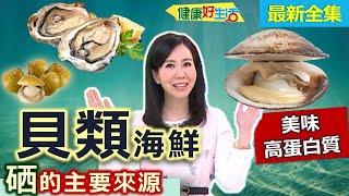 健康好生活  20221018  秋季海鮮正肥美！大啖「貝殼類」不奢侈！