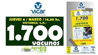 en VIVO - 14,30 hs. - REMATE FERIA de VICAR GANADERA  - JUE. 6 / MARZO / 2025 - VICTORICA  -L.P.-