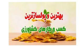 درآمد ۱۰میلیاردی از صنوبرکاری