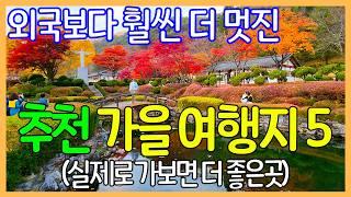 가을 추천 여행지 5곳 / 단풍 여행 / 외국보다 훨씬 더 멋진 대한민국 여행지 | 9월 10월 11월 여행지 | Travel Korea